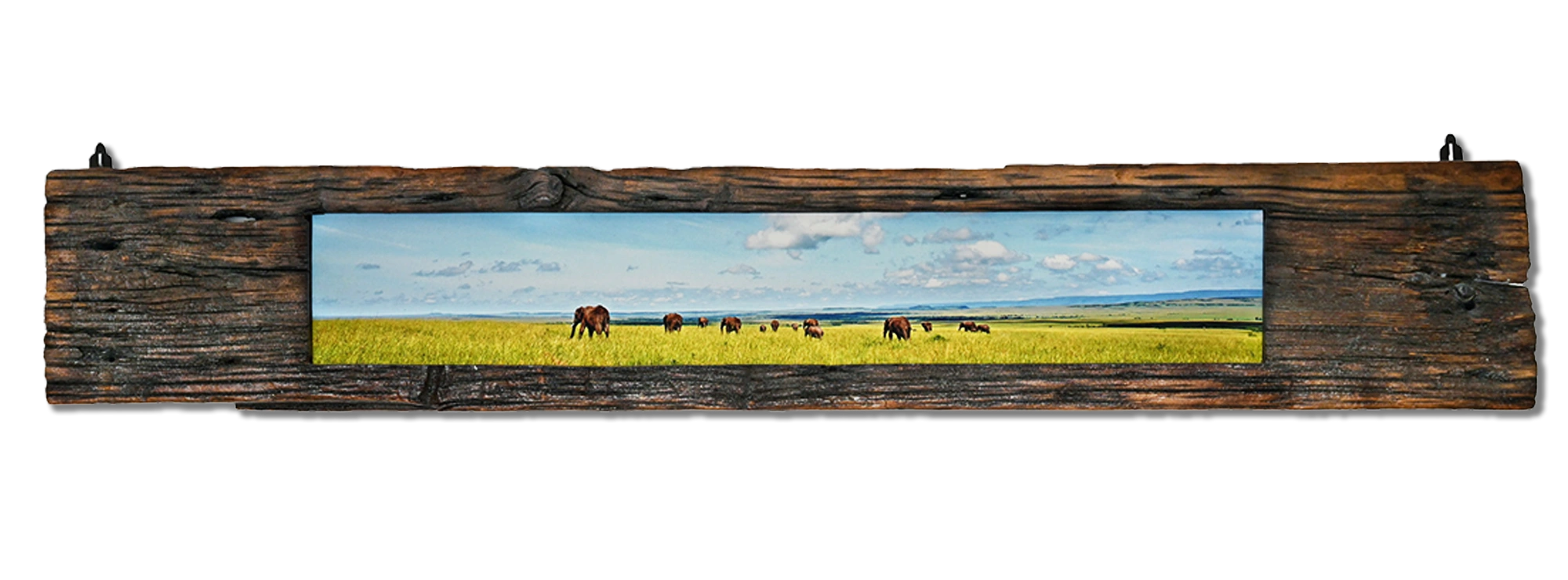 ELEFANTI — cm 32 x 186 - Kenya 2006