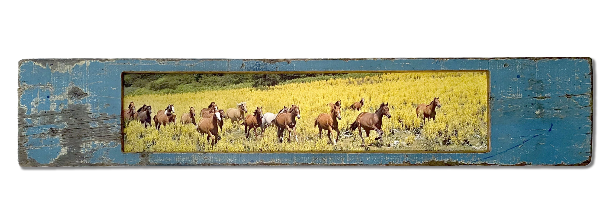 GIALLO MATESE - cm 35 x 140 - Molise, Italy 2020