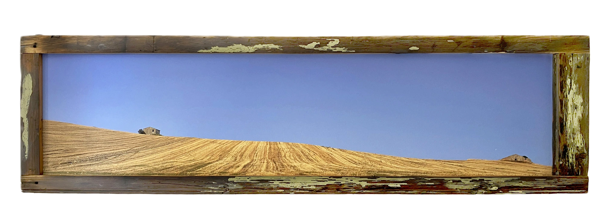 GIALLO TAVOLIERE- cm 185 x 51 - Puglia, Italy 2021