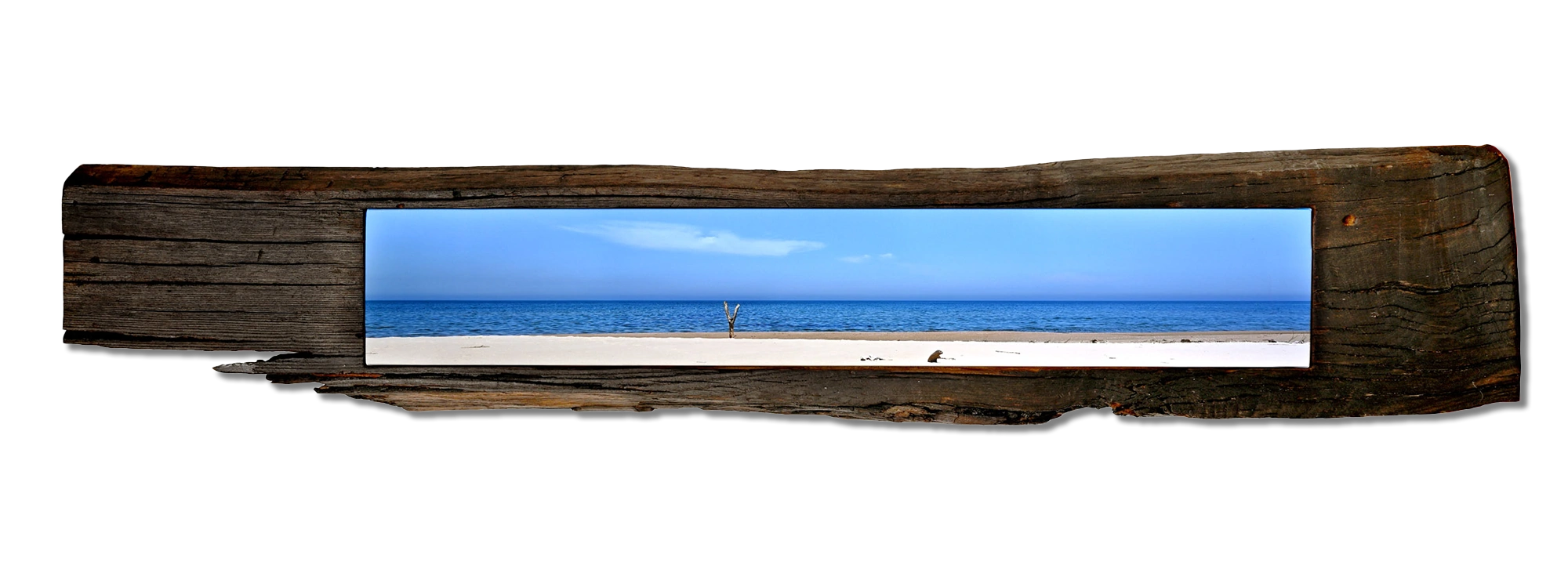 RAMITELLI V - cm 183 x 33 - Puglia, Italy 2023