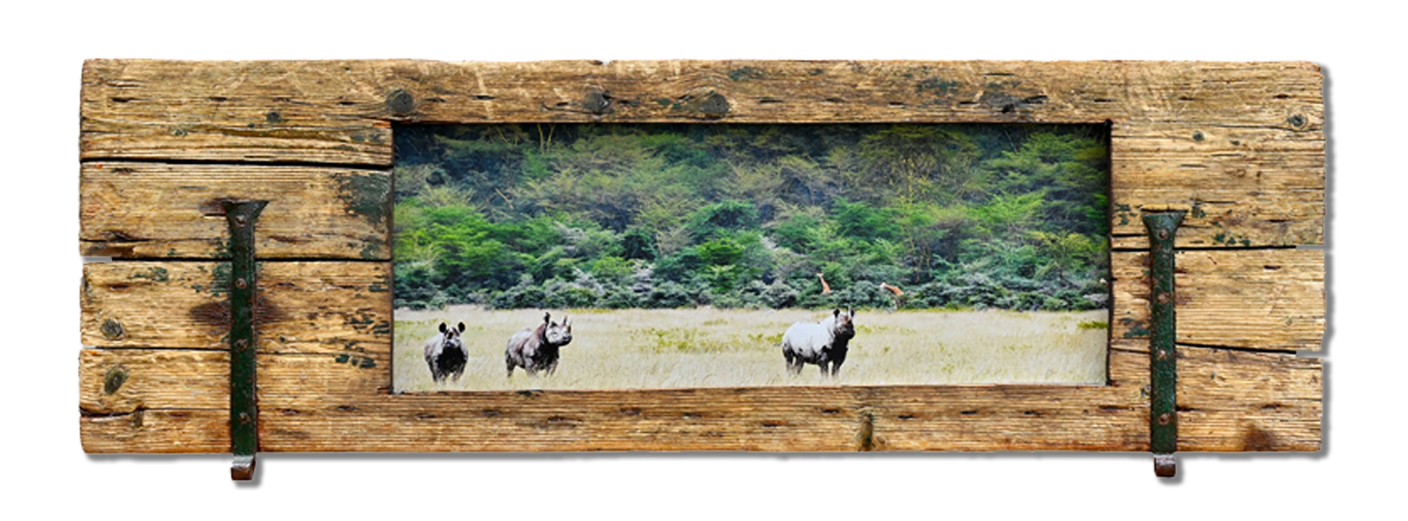 RINOCERONTI - cm 146 x 44 - Kenya 2010