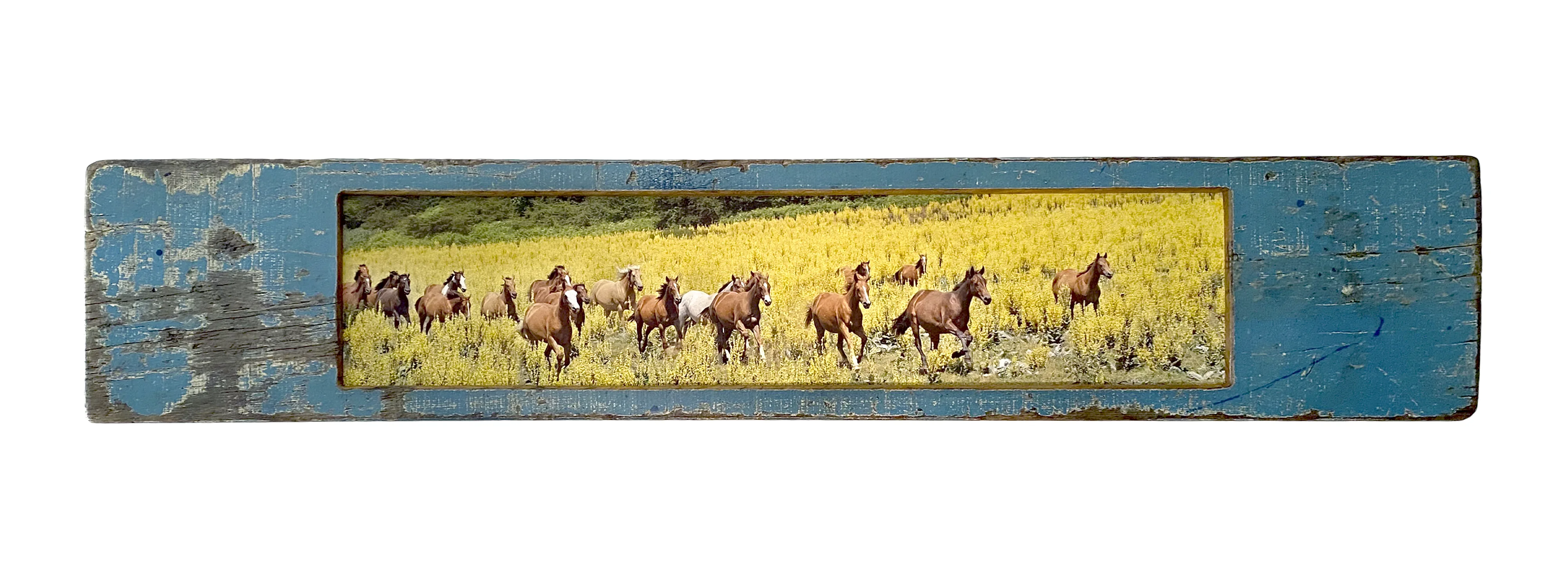 GIALLO MATESE – cm 35 x 140 – Molise, Italia 2020