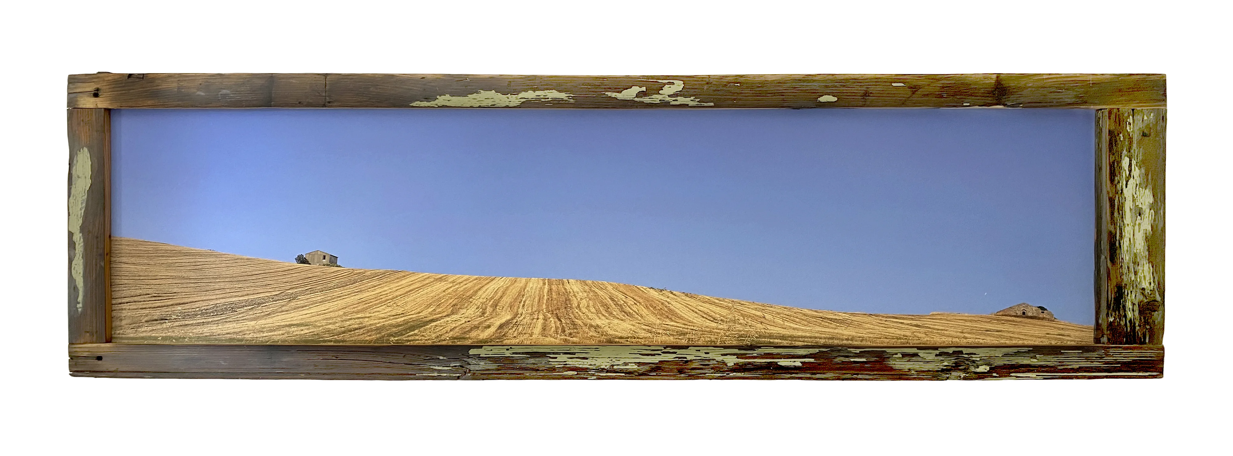 GIALLO TAVOLIERE- cm 185 x 51 – Puglia, Italia 2021