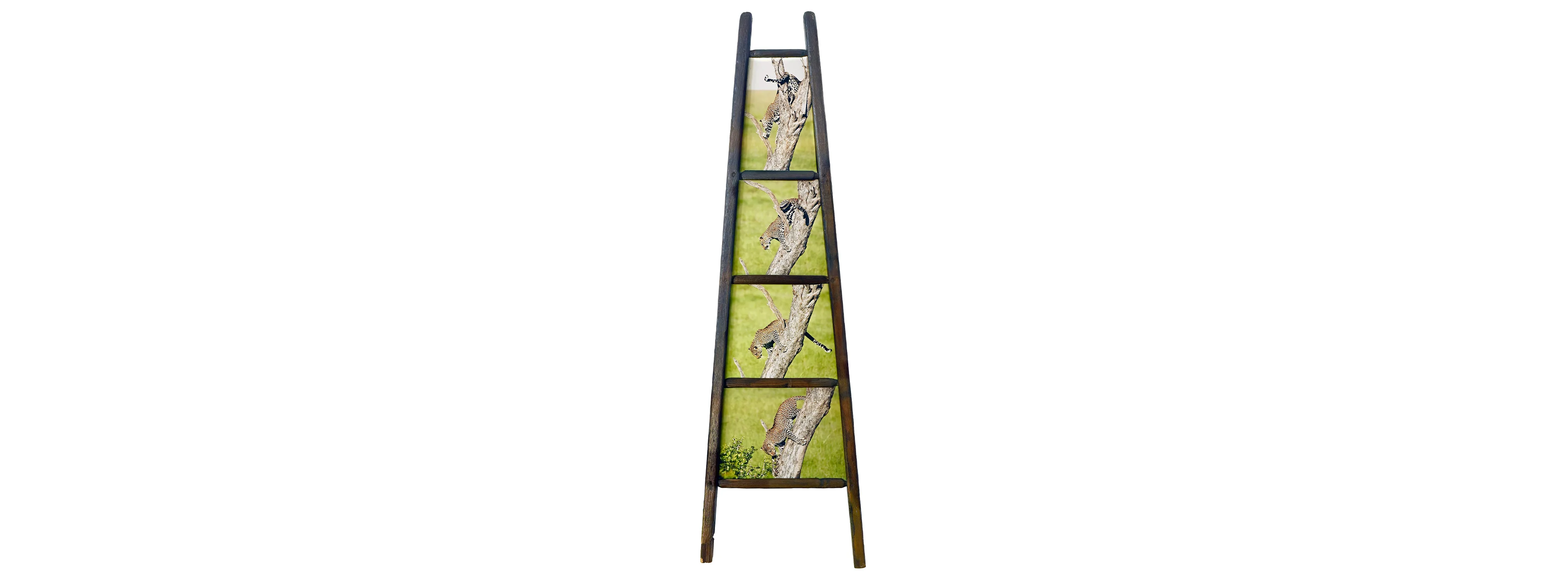 LA SCALA DEL LEOPARDO - Larghezza max. 47 cm x Altezza max. 147 cm - Kenya 2006