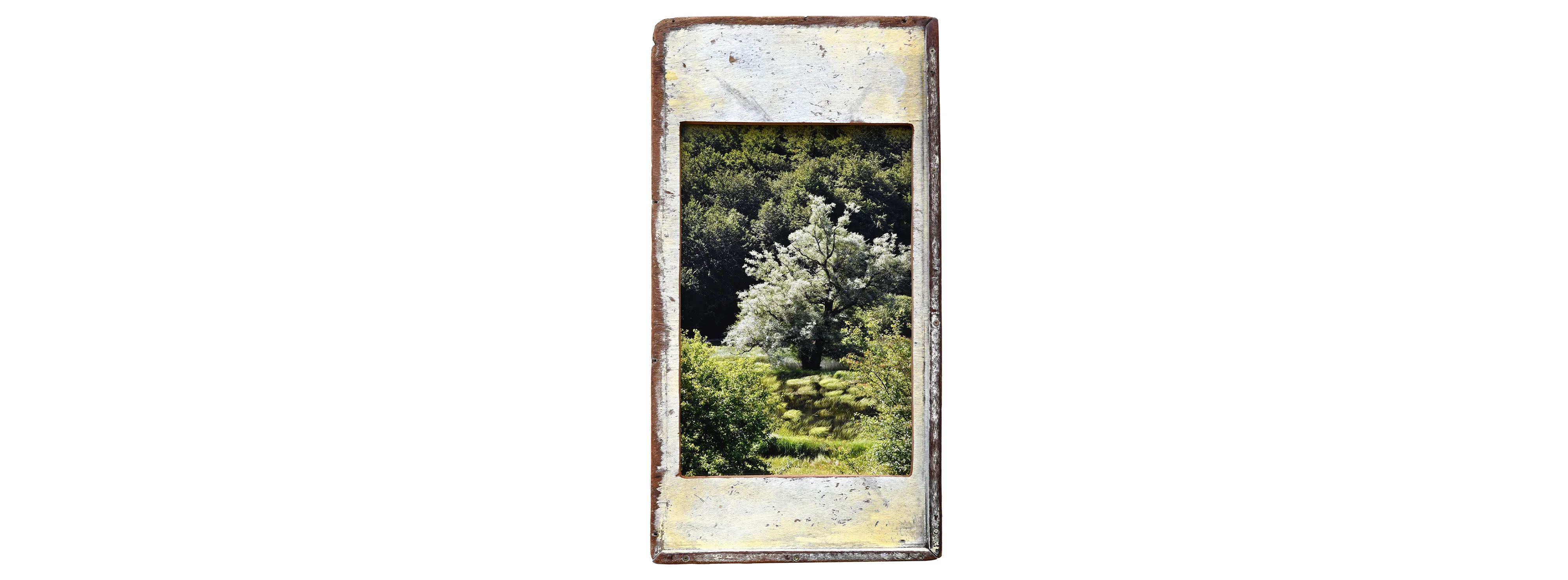 VERDE MATESE - cm 44 x 80 Molise - Italia, 2020.